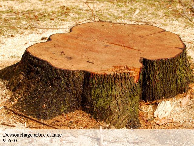 Dessouchage arbre et haie  91650